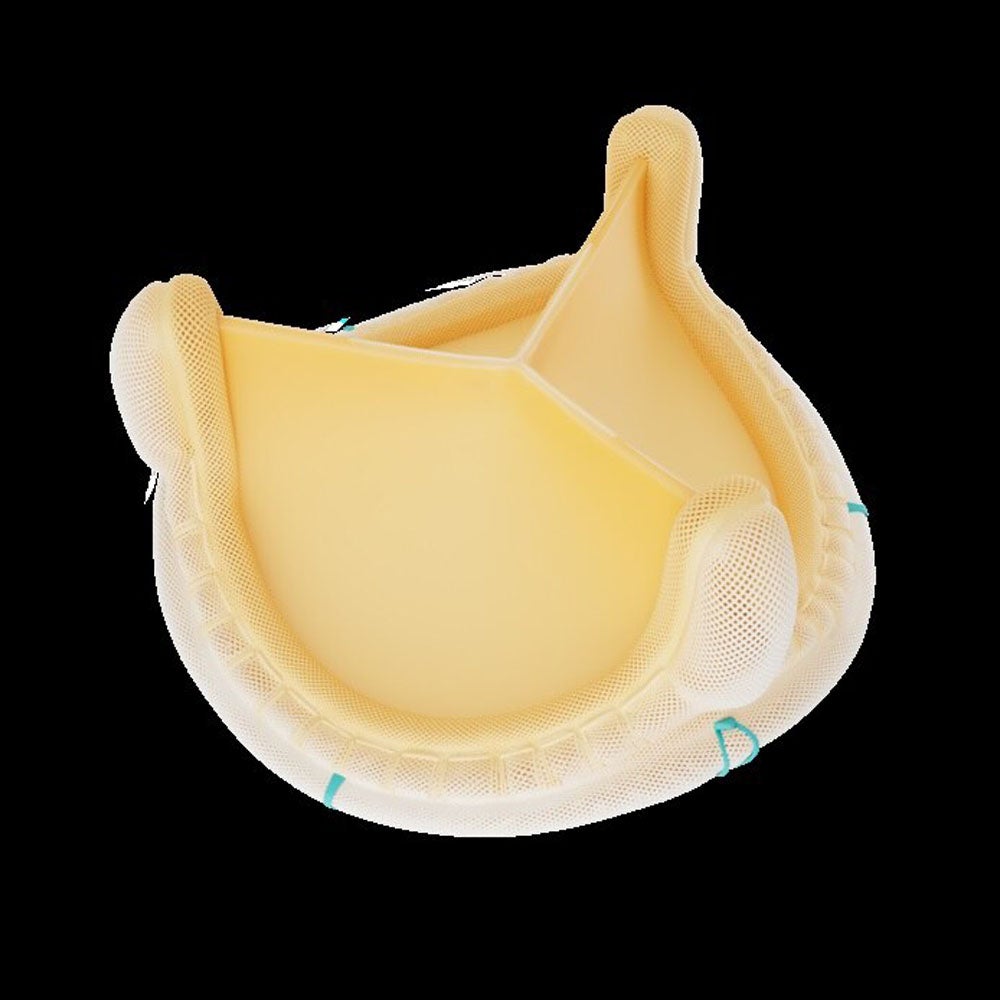 Produktbild - VF000184805 - Hjärtklaff aorta biologisk m stent 19mm (valve size)