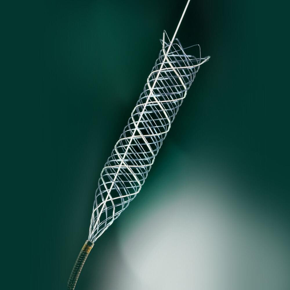 Produktbild - VF000164785 - Intrakraniell stent Leo+Baby självexpanderande utan kateter och y-stycke 3,0x18mm