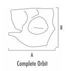 Produktbild - VF000119405 - COMPLETE ORBIT RIGHT