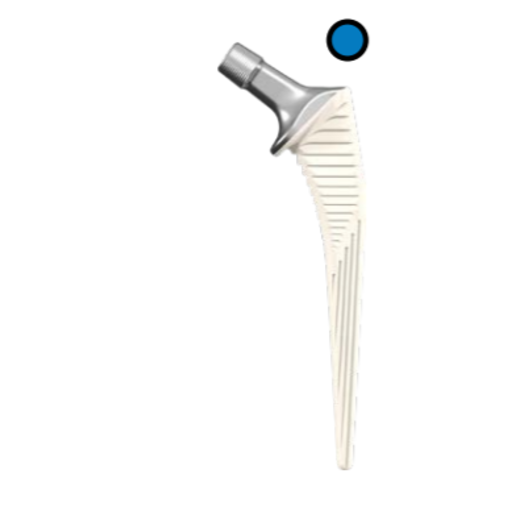 Produktbild - VF000123576 - CORAIL SZ 10 125 STD COLLARED