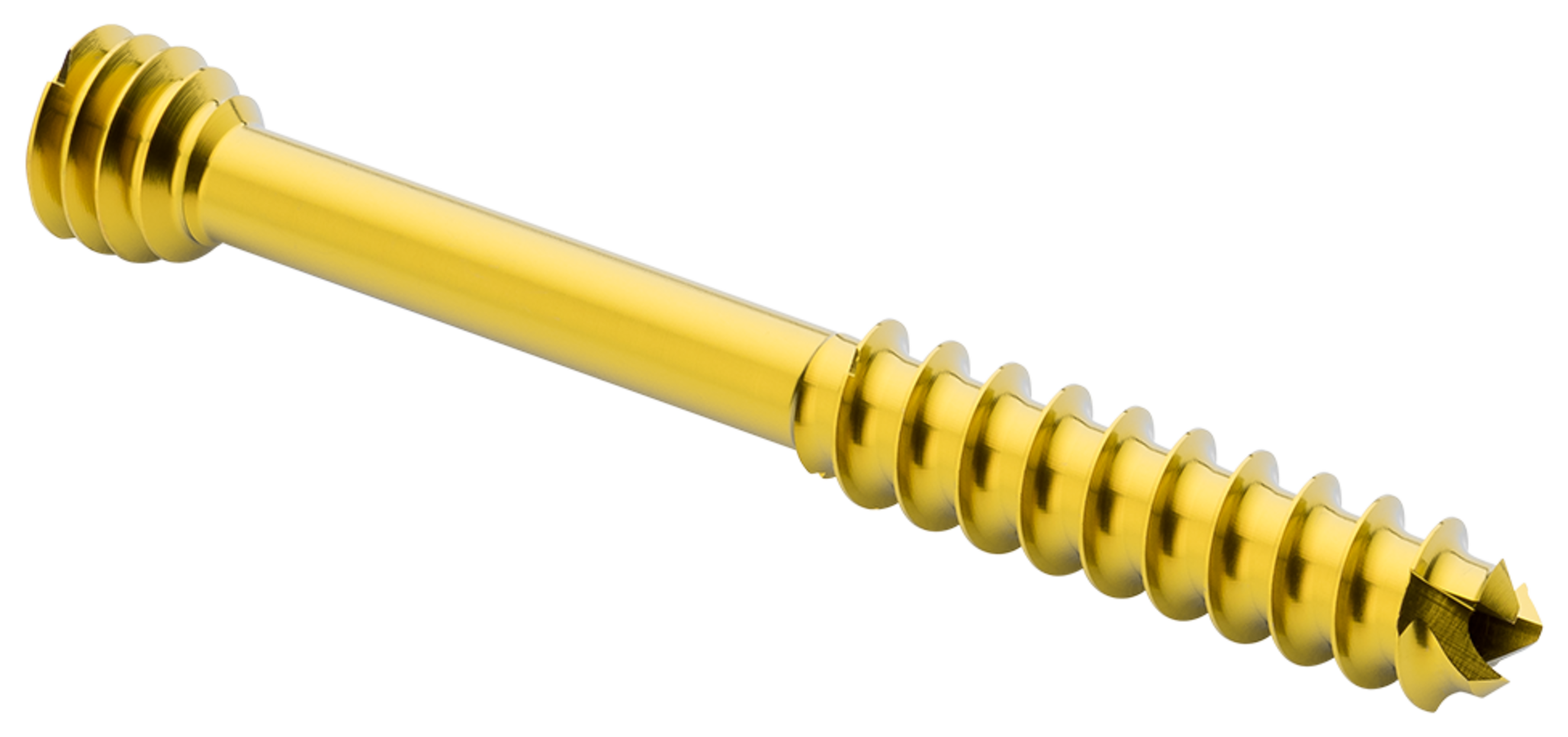 Produktbild - VF000190010 - Kanylerade skruvar, kompression  >5,0, 61-100mm.