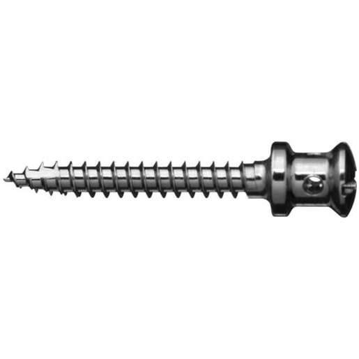 Produktbild - VF000123212 - IMF SCREW Ø2 L12 SST