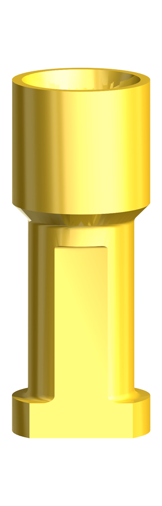 Produktbild - VF000180439 - Implantatreplika CC RP