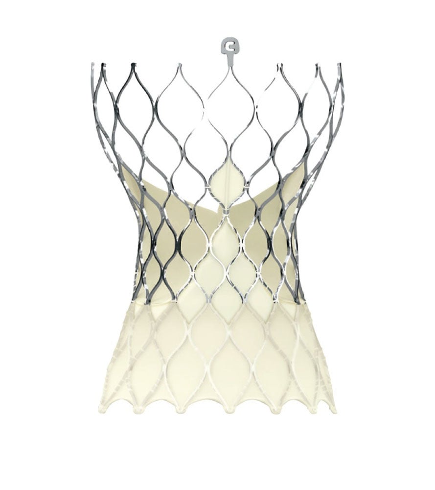 Produktbild - VF000193518 - VLV EVPROPLUS-34