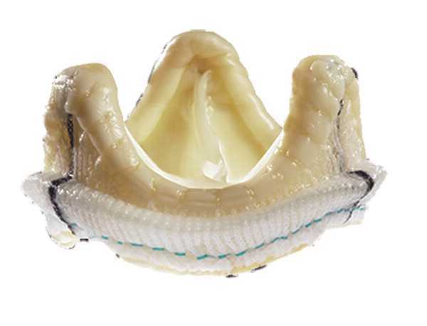 Produktbild - VF000184798 - Hjärtklaff aorta biologisk m stent 29mm (valve size)