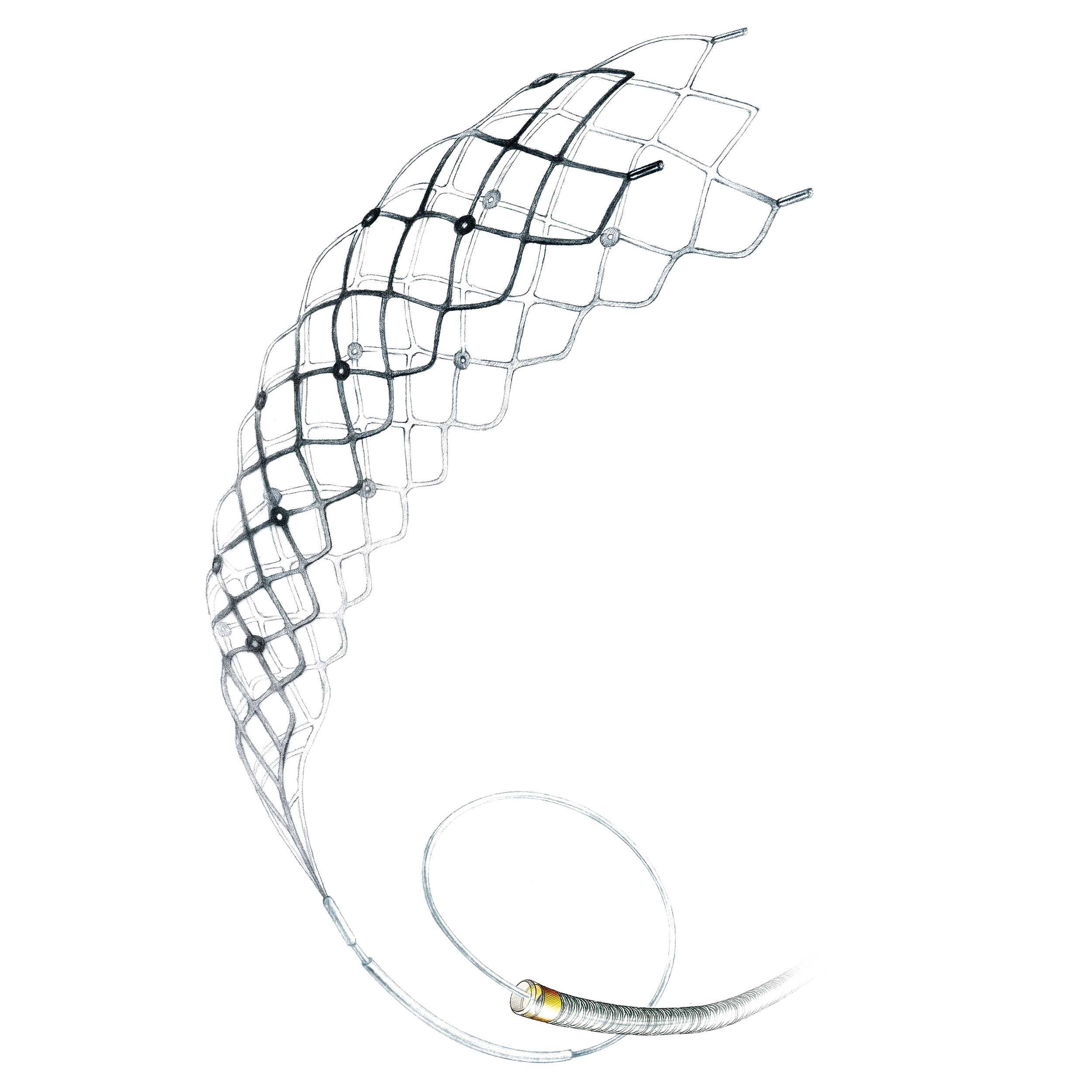 Produktbild - VF000165071 - Stent Retriever Catchview ej avlösbar 0.017" 3x10mm