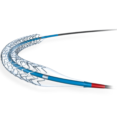 Produktbild - VF000157554 - Högtrycksballong Mustang 0.035" RBP 24 ATM 5Fr 6,0x30 135cm