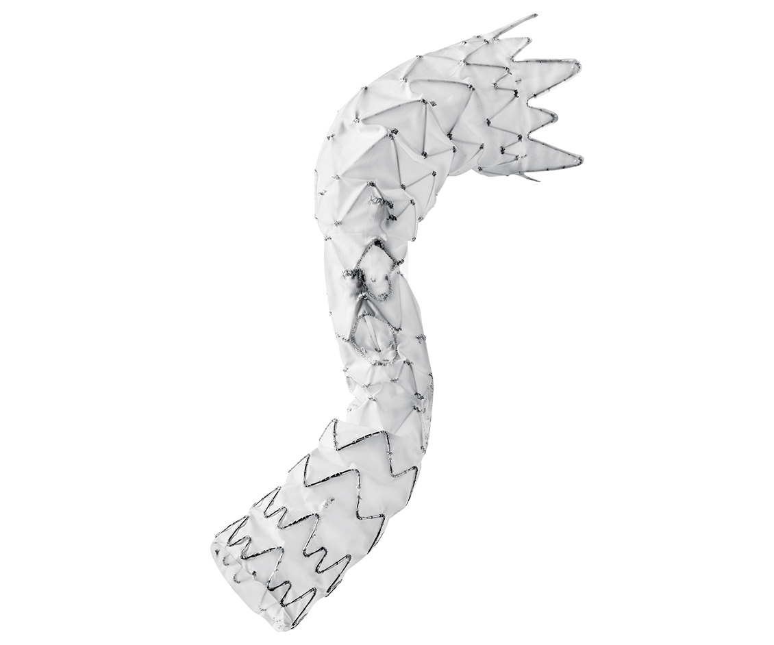 Produktbild - VF000158395 - Stentgraft aorta E-NSIDE TAAA  4-grenad 38x26mm 150x10x5