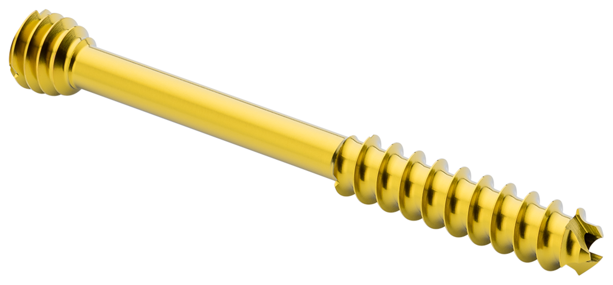 Produktbild - VF000190012 - Kanylerade skruvar, kompression  >5,0, 61-100mm.