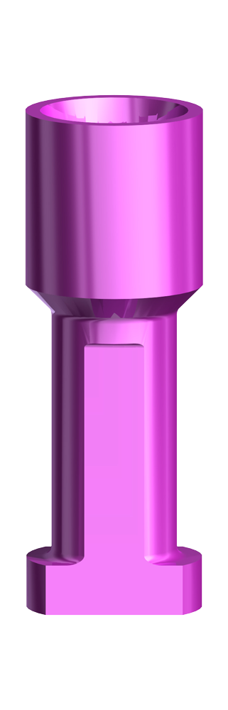 Produktbild - VF000180438 - Implantatreplika CC NP