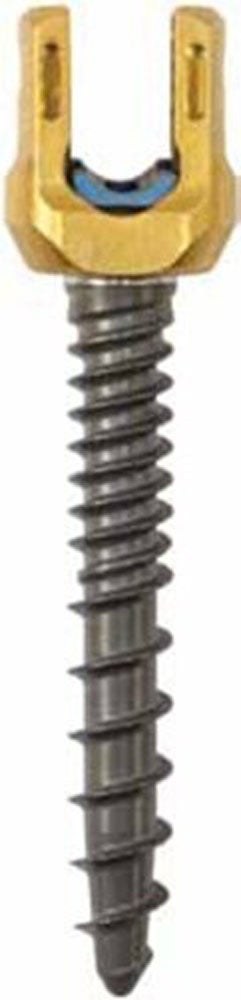 Produktbild - VF000173051 - SCREW 55811005040 5.5 SAS 5.0 X 40 CC
