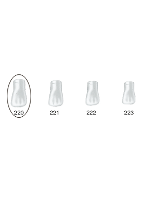 Produktbild - VF000175087 - Kronformar anterior nr 220 refill till pos 3 5-pack