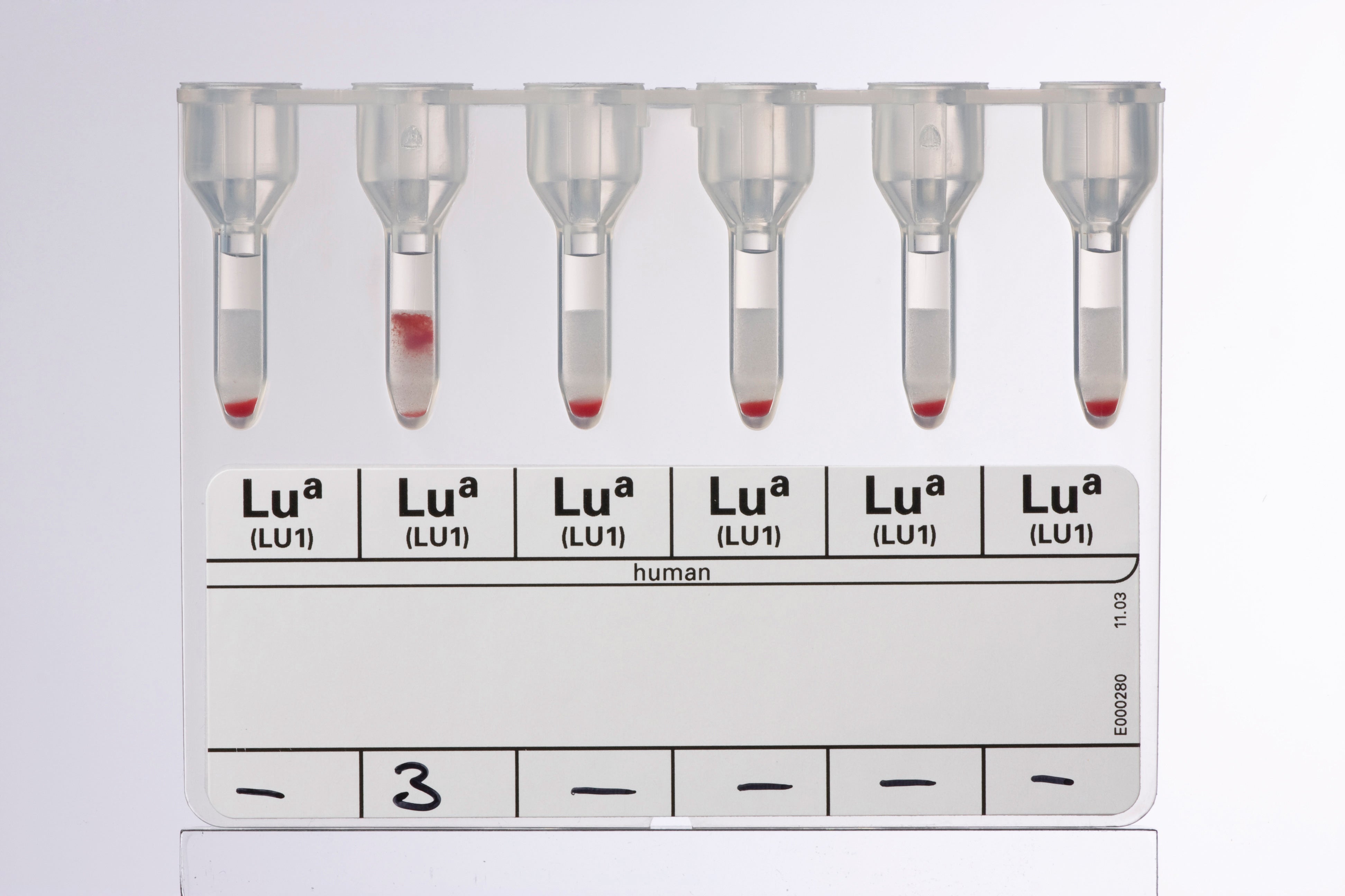 Produktbild - VF000078411 - Anti-Lua för fenotypning