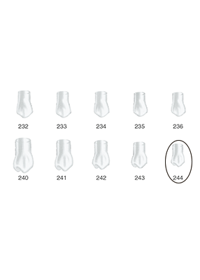 Produktbild - VF000175039 - Kronformar posterior nr 244 refill till pos 1 5-pack