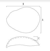 Produktbild - VF000119303 - CRANIALHEMISPHERE