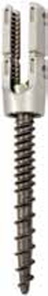 Produktbild - VF000173300 - SCREW 55890007545 5.5