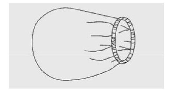 Produktbild - 48857 - Bildförstärkarskydd med resår 60x120cm