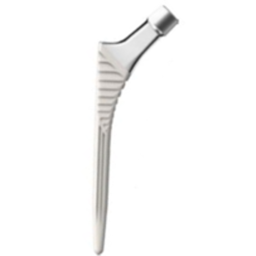 Produktbild - VF000123553 - CORAIL DYSP SIZE 6 STD