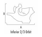 Produktbild - VF000119402 - ORBIT INFERIOR LEFT