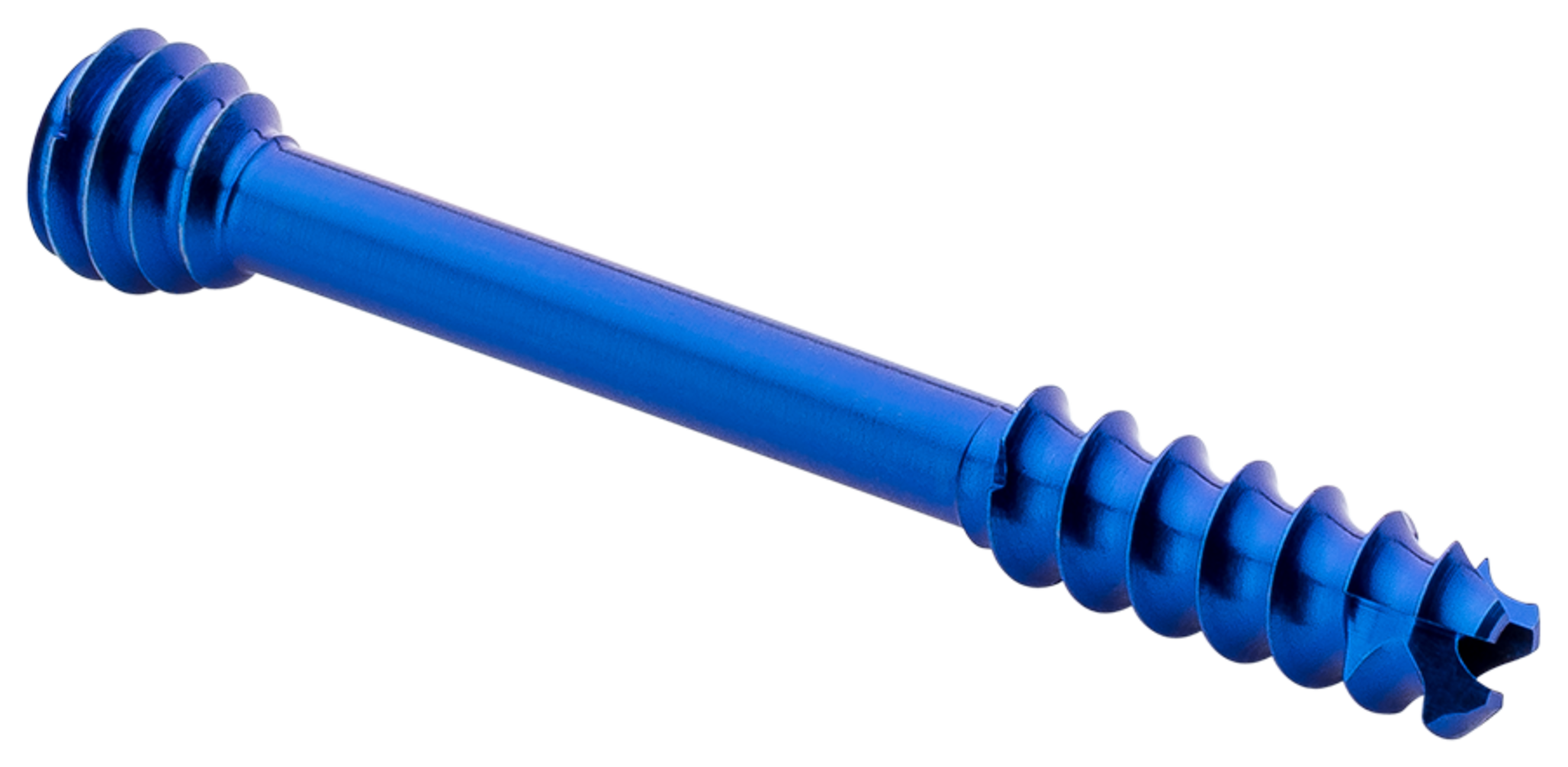 Produktbild - VF000189656 - Kompressionsskruv kanylerad huvudlös 3,0 längd 26