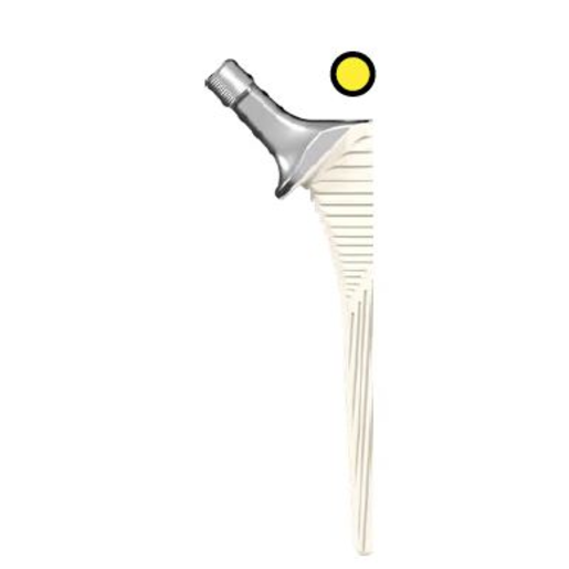 Produktbild - VF000123571 - CORAIL SZ 16 135 HO COLLARED