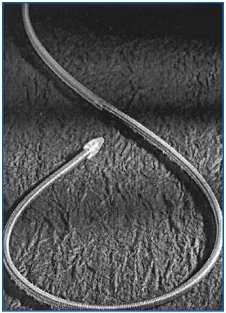 Produktbild - VF000175473 - SUBCUTANEOUS LEAD SYSTEM, 41CM