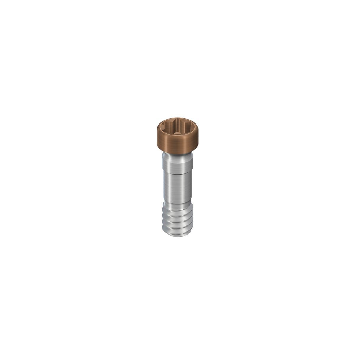 Produktbild - VF000179640 - Basalskruv WB tan