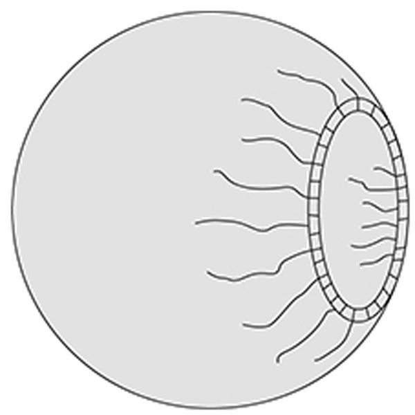 Produktbild - 62285 - BILDFÖRSTÄRKARSKYDD  Ø90CM M RESÅR