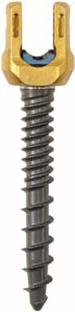 Produktbild - VF000173038 - SCREW 55811004035 5.5 SAS 4.0 X 35 CC