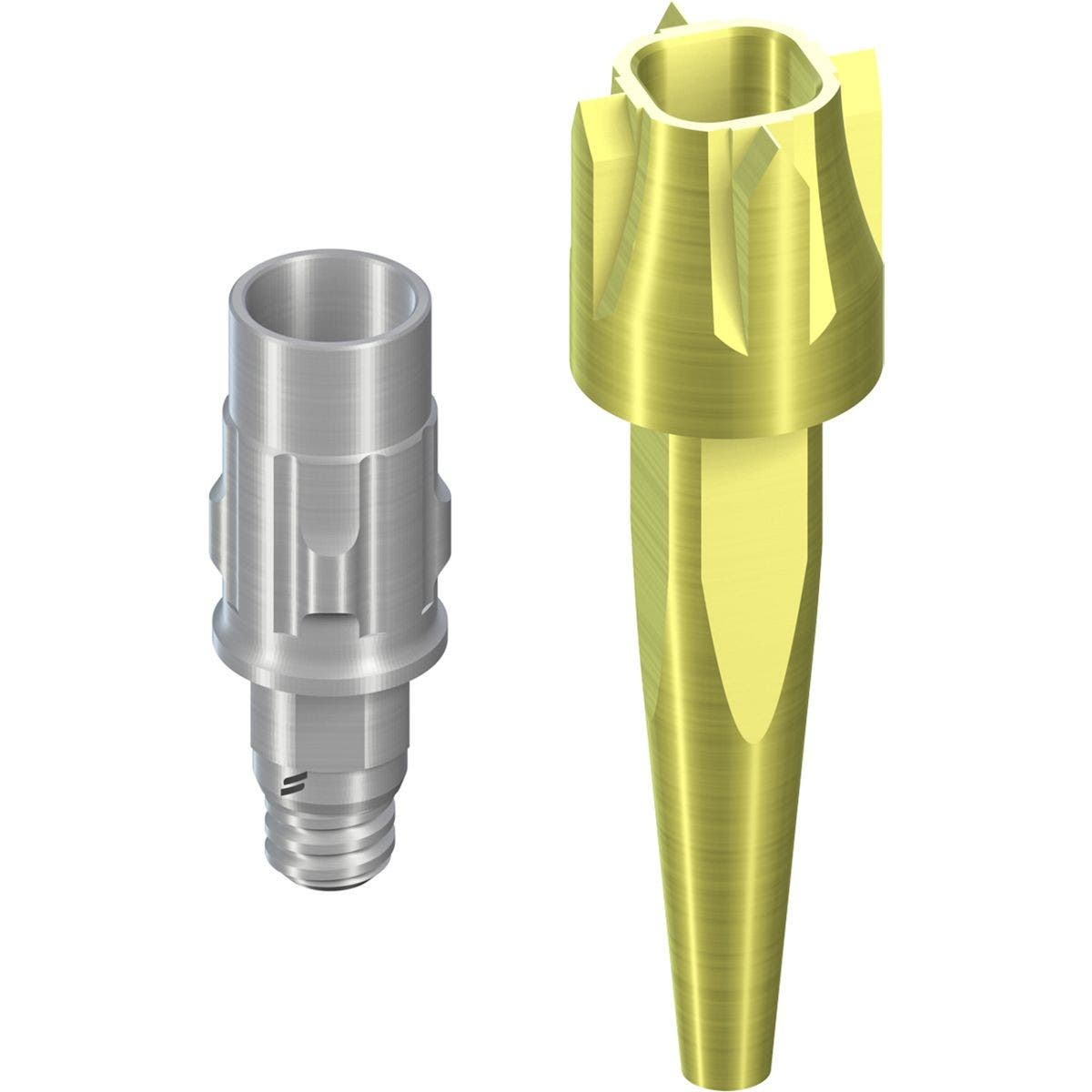Produktbild - VF000179345 - Abutment CI RD höjd 5,5 tan