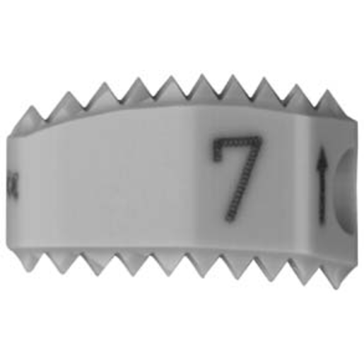 Produktbild - VF000118672 - CERVIOS CURVED SIZ 7 PEEK