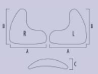 Produktbild - VF000119386 - LARGE PARANASAL