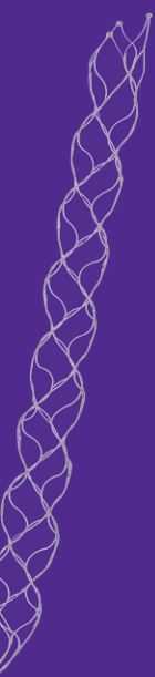 Produktbild - VF000165063 - Stent Retriever Trevo XP ProVue 4x30mm