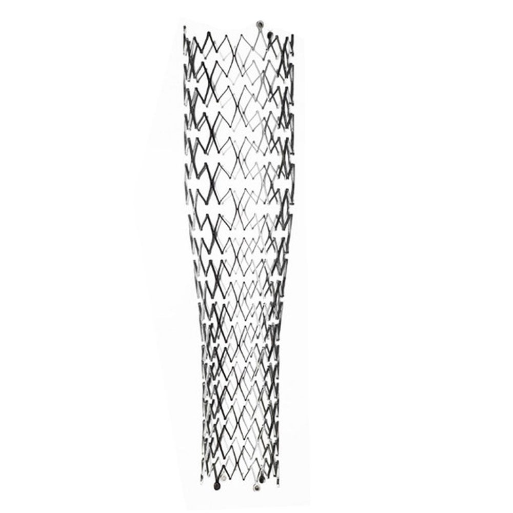 Produktbild - VF000160465 - Stent carotis självexpanderande Protégé 0.014" 6Fr 10/7x30mm 135cm