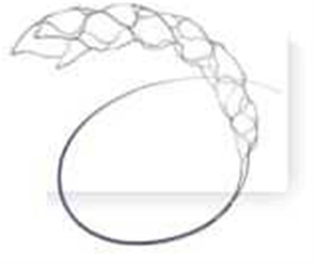 Produktbild - VF000165057 - Stent Retriever Trevo NXT ProVue 3x32mm