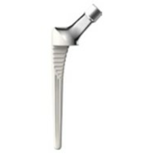 Produktbild - VF000123552 - CORAIL DYSP SIZE 6 TROCH