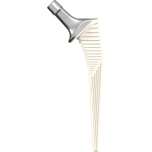 Produktbild - VF000123568 - CORAIL SZ 13 135 HO COLLARED