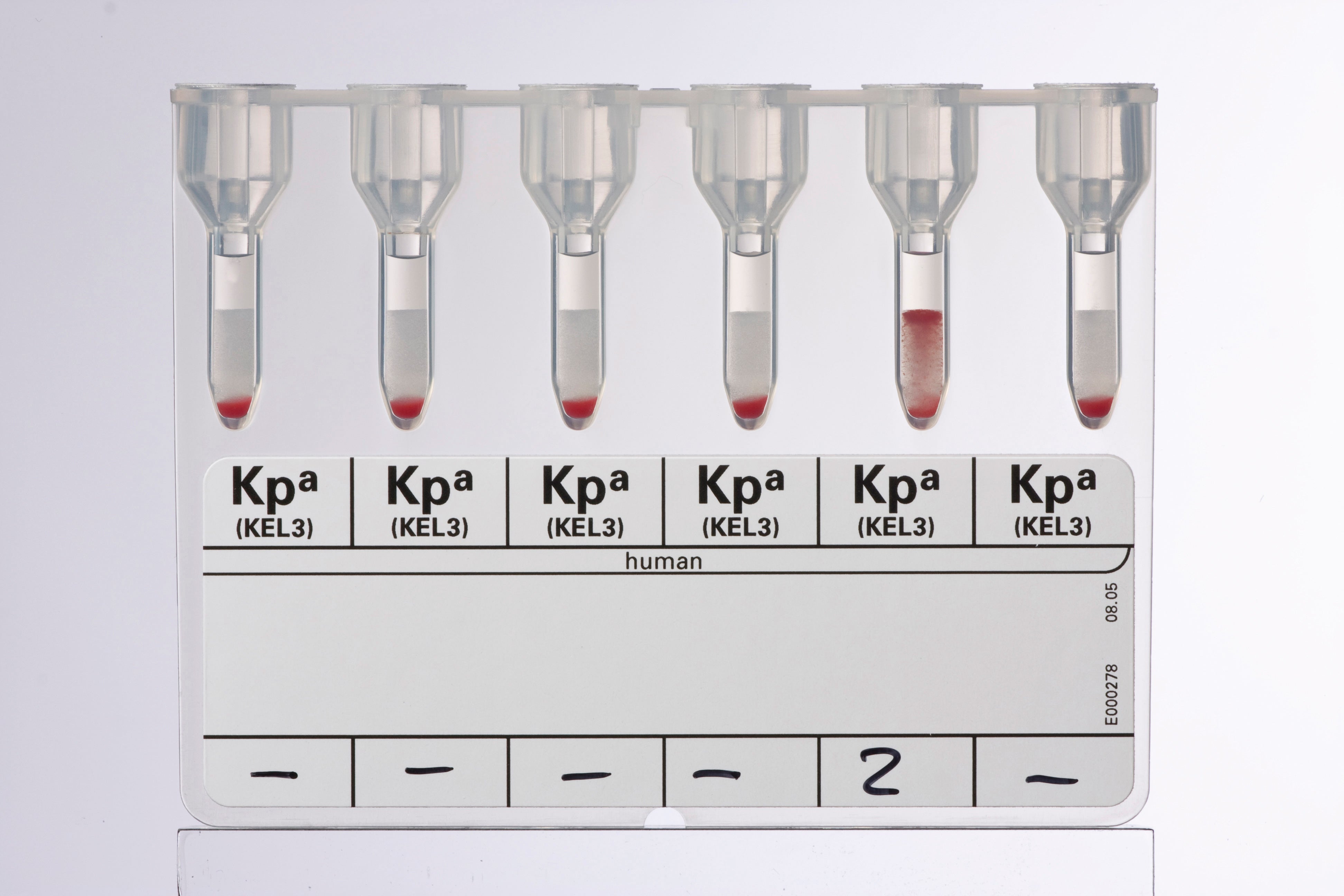 Produktbild - VF000078413 - Anti-Kpa för fenotypning