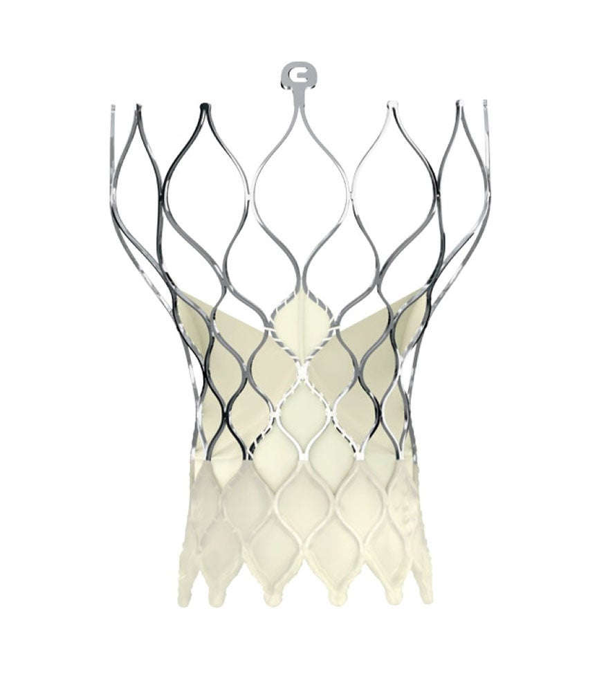 Produktbild - VF000193515 - VLV EVPROPLUS-23