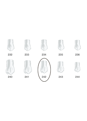 Produktbild - VF000175037 - Kronformar posterior nr 242 refill till pos 1 5-pack