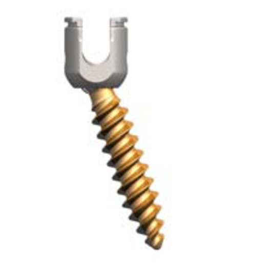 Produktbild - VF000166458 - EXP 5.5 POLY SCREW 8X60MM TI