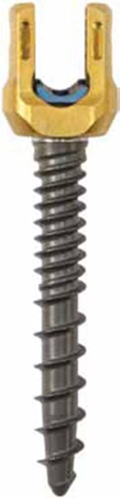 Produktbild - VF000173065 - SCREW 55811007540 5.5 SAS 7.5 X 40 CC