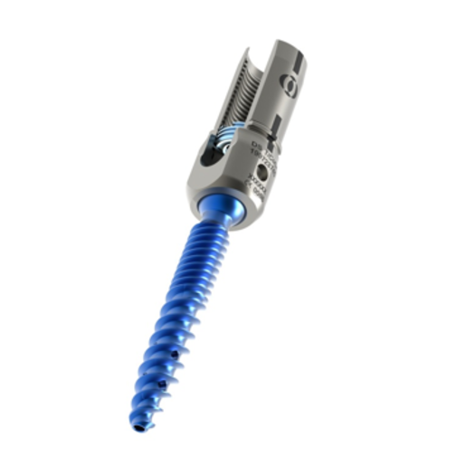 Produktbild - VF000168097 - EXP VERSE FEN SCREW 7.0X80 MM