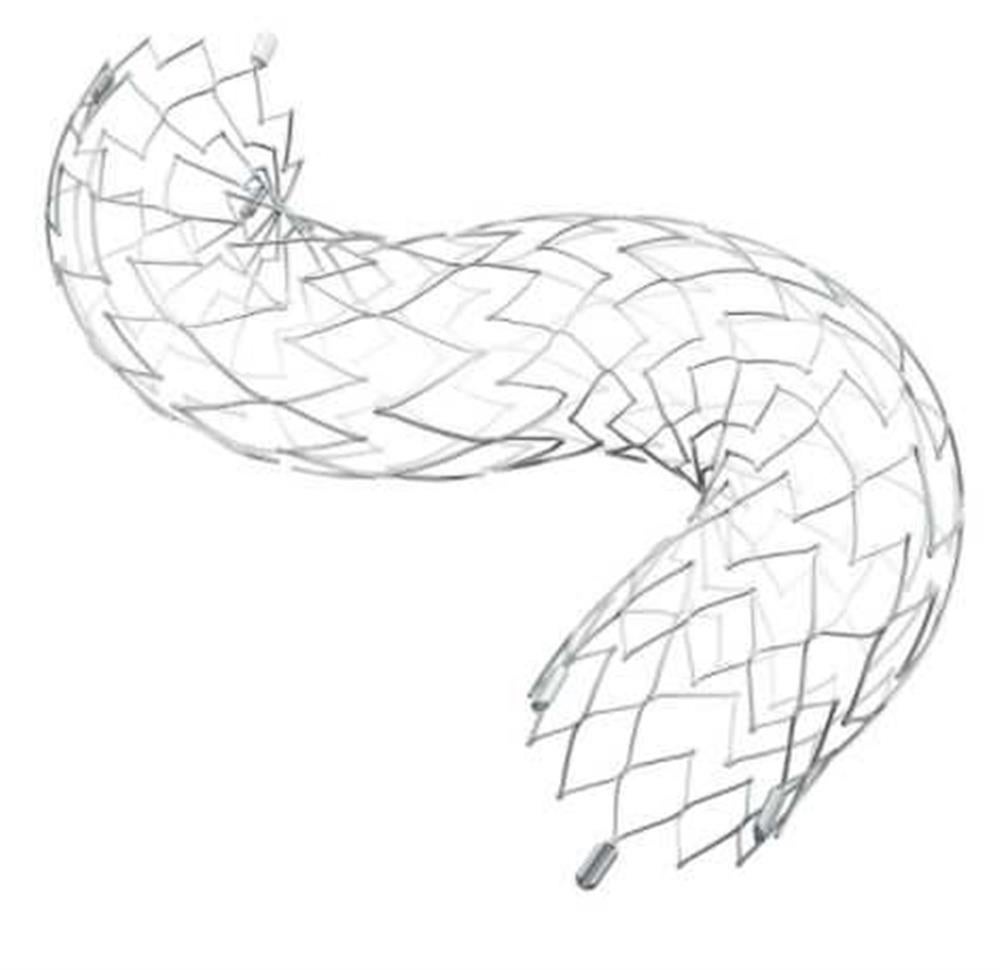 Produktbild - VF000164824 - Intrakraniell stent Neuroform Atlas avtagbr utan spets 4,0x21mm