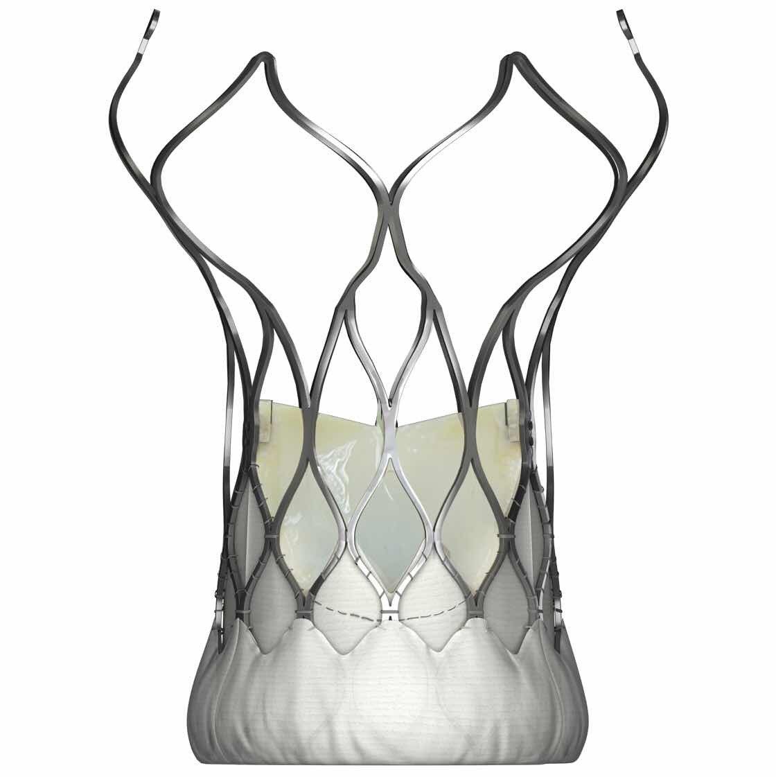 Produktbild - VF000193171 - Klaffprotes TAVI 24mm