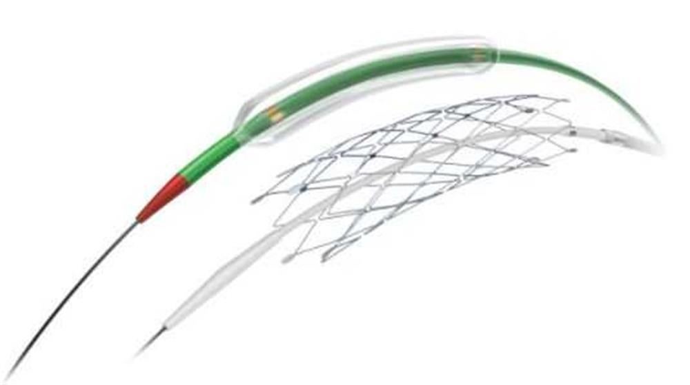 Produktbild - VF000164809 - Intrakraniell stent Wingspan avlösbar 2,5x9mm