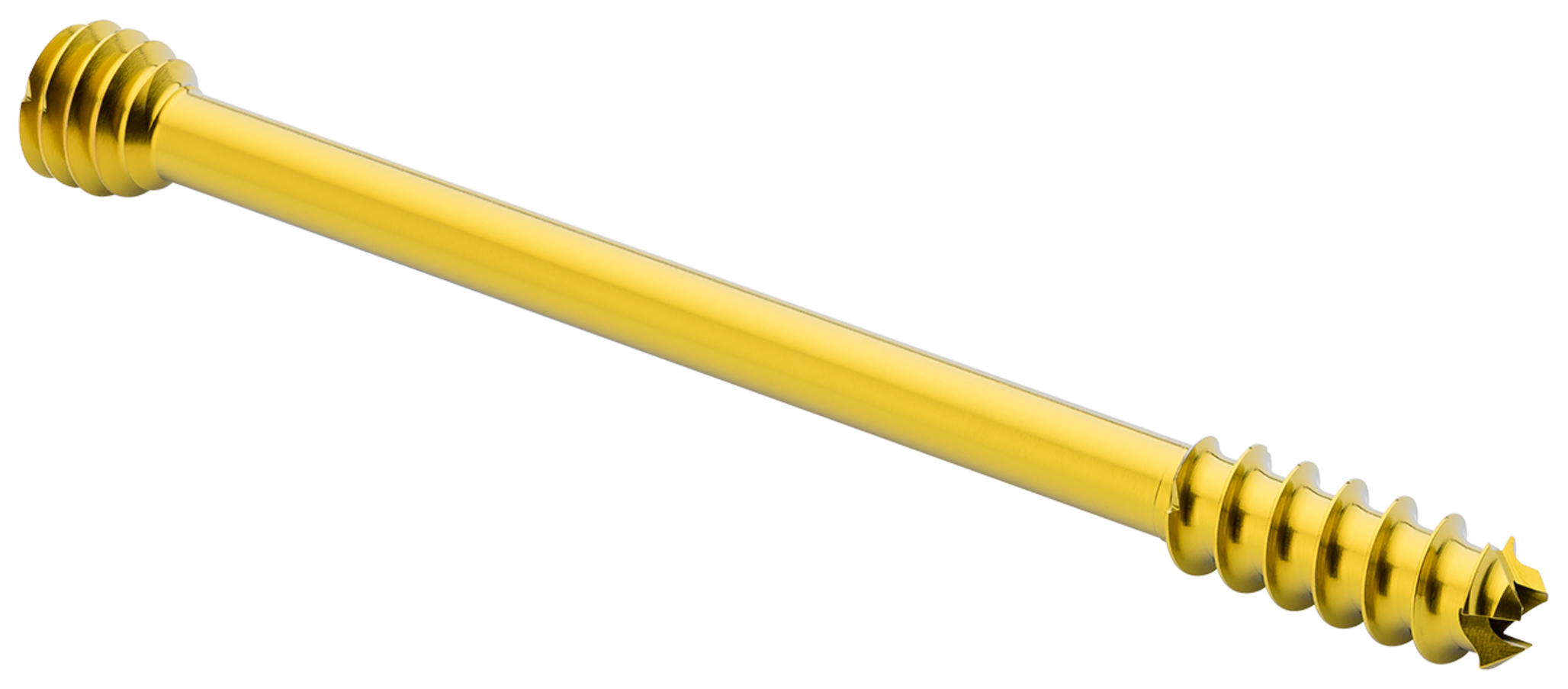 Produktbild - VF000189991 - Kanylerade skruvar, kompression  >5,0, 61-100mm.