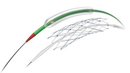 Produktbild - VF000164812 - Intrakraniell stent Wingspan avlösbar 3,0x9mm