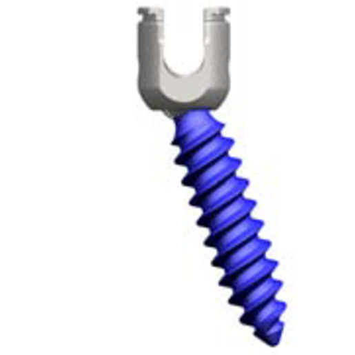 Produktbild - VF000166475 - EXP 5.5 POLY SCREW 9X70MM TI