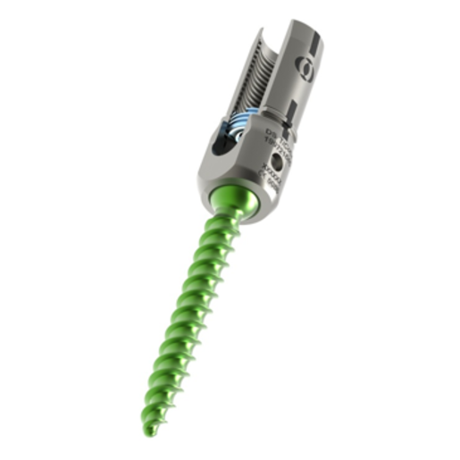 Produktbild - VF000168016 - 5.5 TI EXP FAS2 SCREW 6.0 X 90